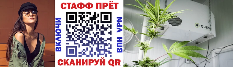 Где купить Гай ГАШ  mega зеркало  Амфетамин  Меф  СК  Марихуана  НБОМе 