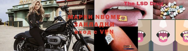 PSILOCYBIN Баксан