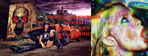 амф Богородицк