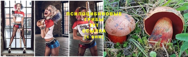 круглые Богданович