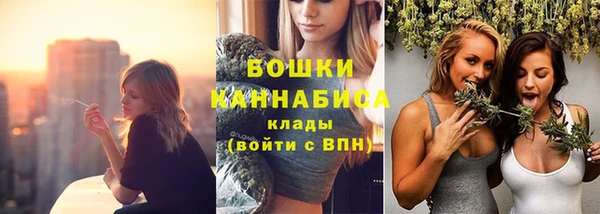 амф Богородицк