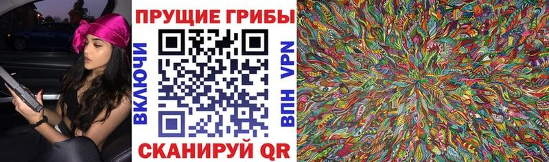 Псилоцибиновые грибы ЛСД  цена   Гай 